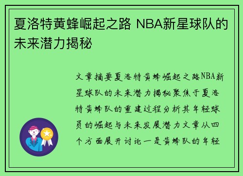 夏洛特黄蜂崛起之路 NBA新星球队的未来潜力揭秘